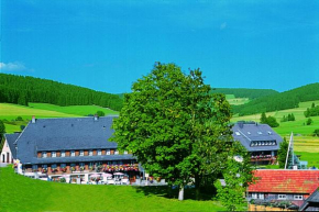 Отель Hotel Zum Löwen - Unteres Wirtshaus  Титизее-Нойштадт